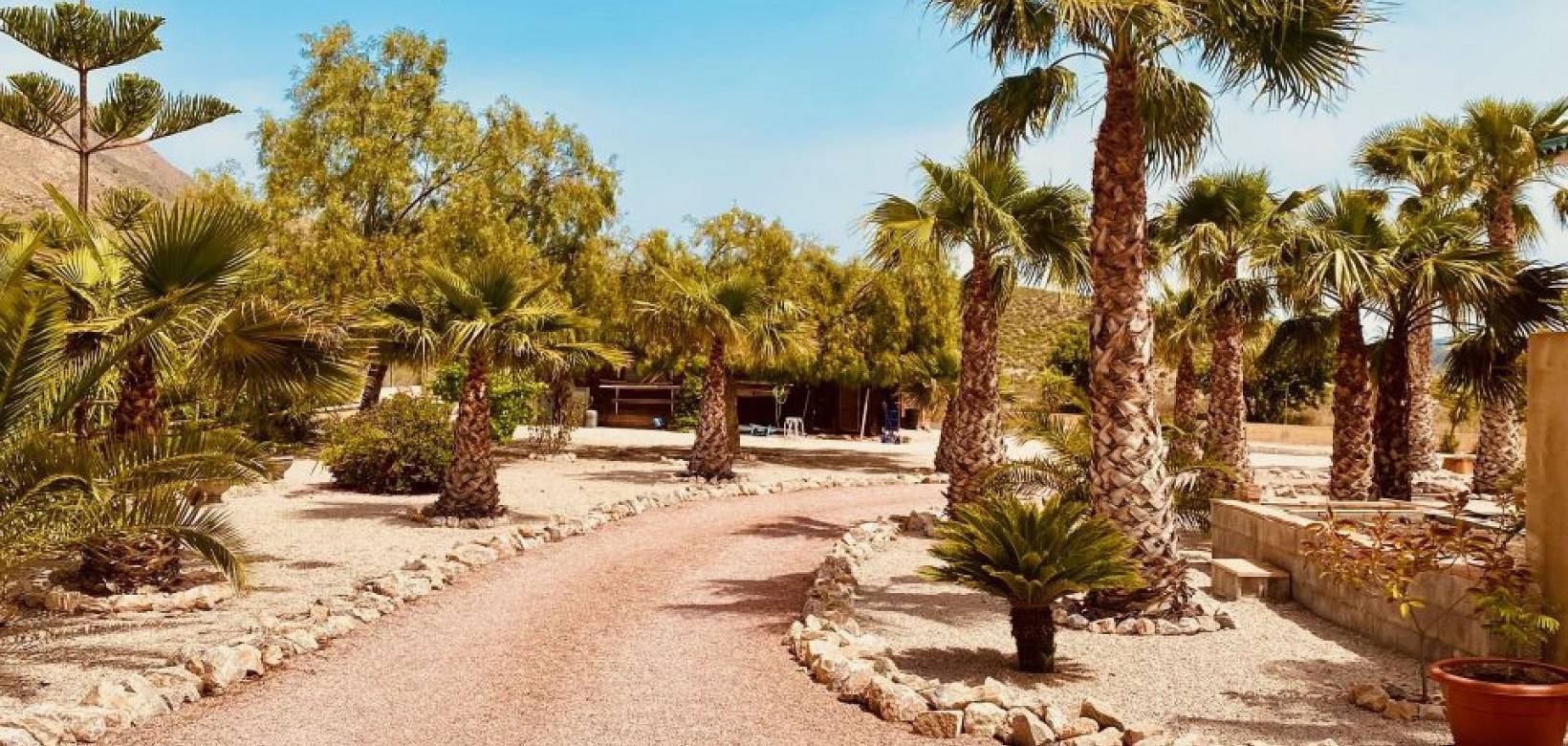 Wederverkoop - Villa - Macisvenda