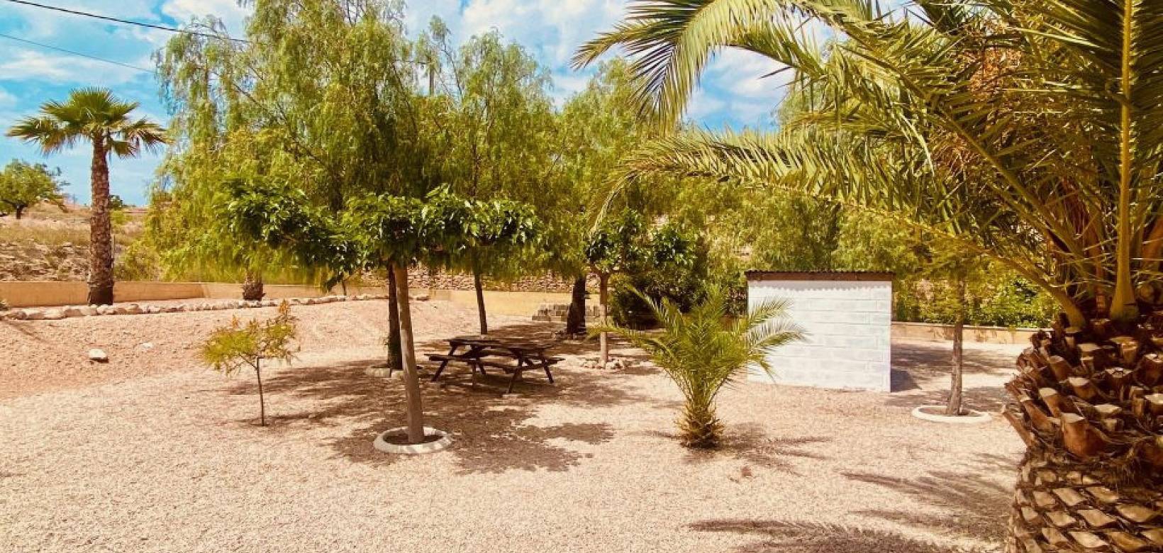 Wederverkoop - Villa - Macisvenda