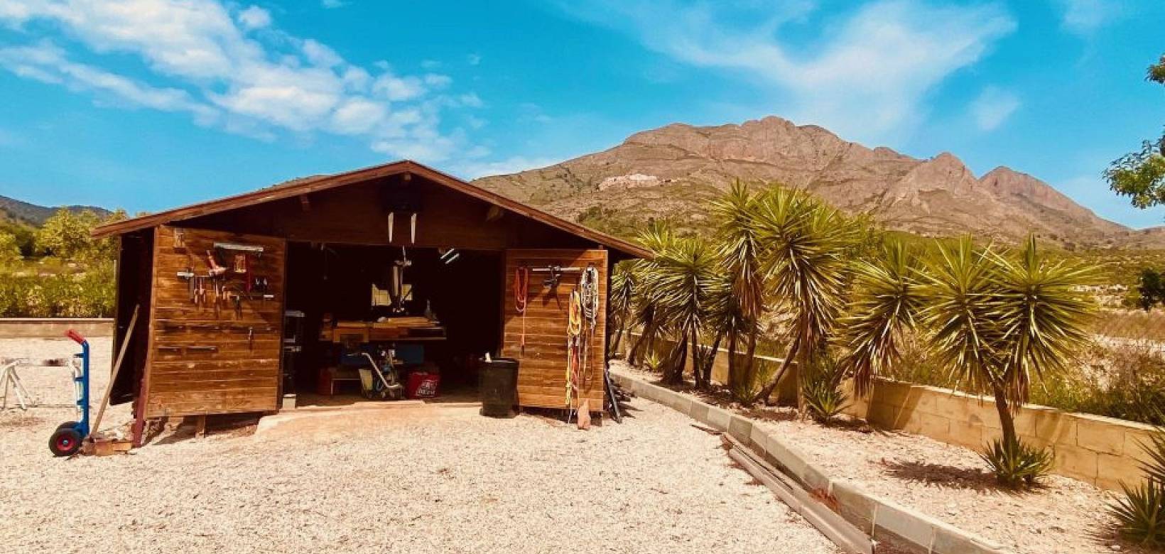 Wederverkoop - Villa - Macisvenda