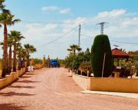 Wederverkoop - Villa - Macisvenda