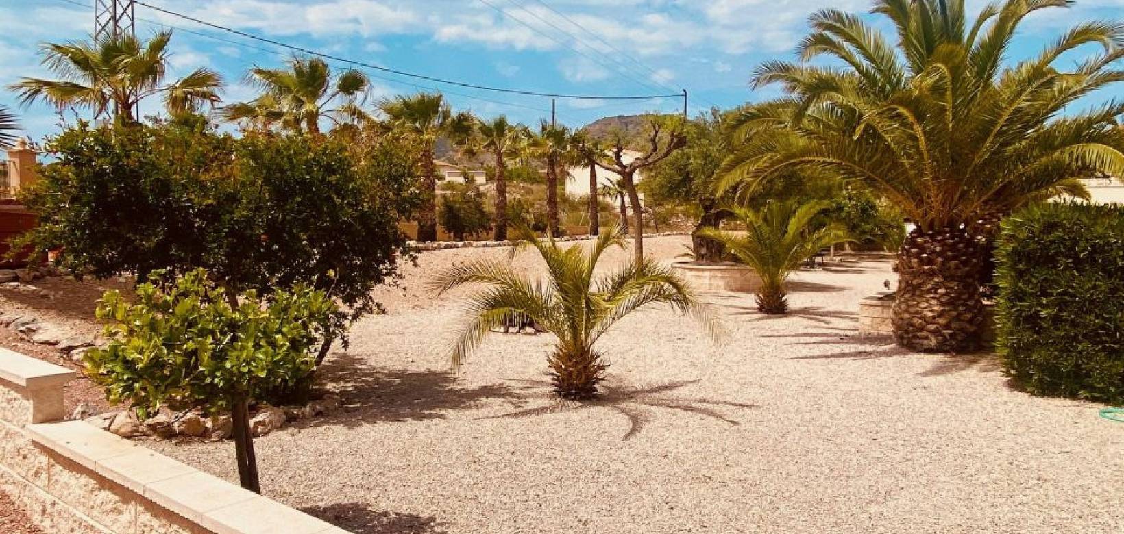 Wederverkoop - Villa - Macisvenda