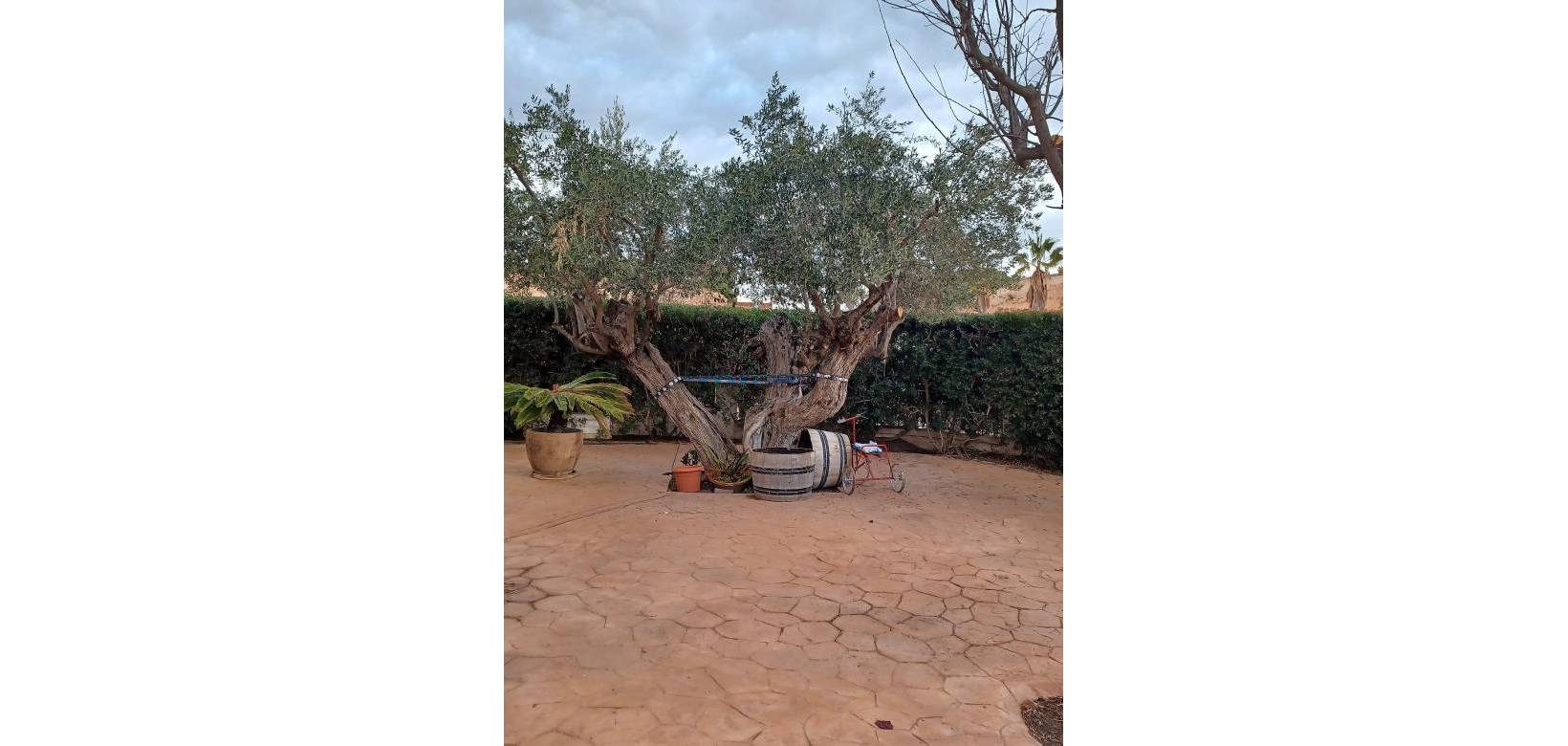 Wederverkoop - Villa -  - Monovar