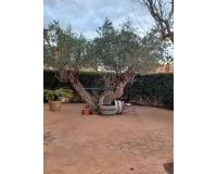 Wederverkoop - Villa -  - Monovar