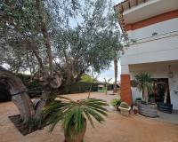 Wederverkoop - Villa -  - Monovar