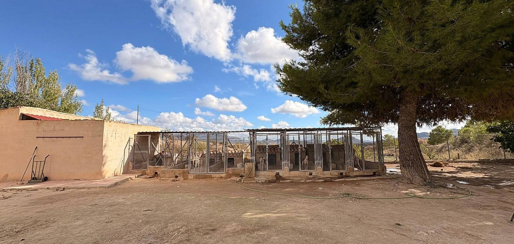 Wederverkoop - Villa -  - Monovar