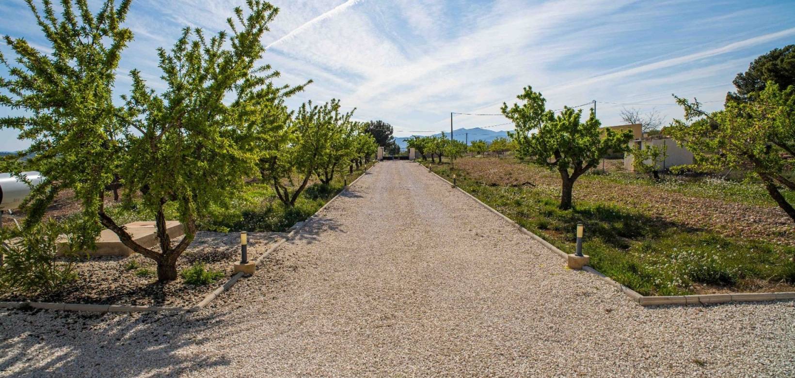 Wederverkoop - Villa - Pinoso - Lel