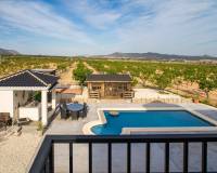 Wederverkoop - Villa - Pinoso - Lel