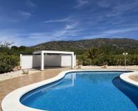 Wederverkoop - Villa - Pinoso - 