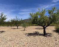 Wederverkoop - Villa - Pinoso - 