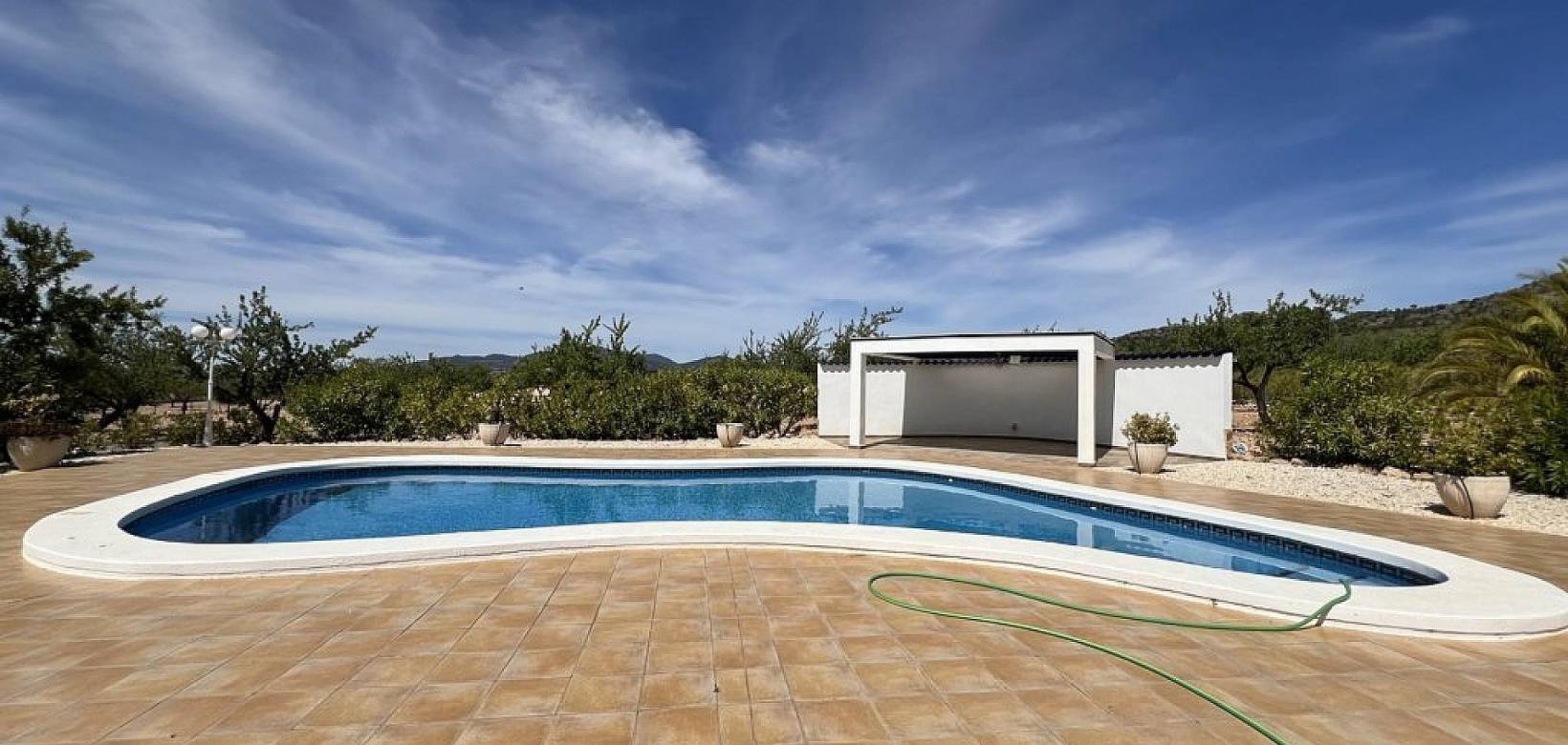 Wederverkoop - Villa - Pinoso - 