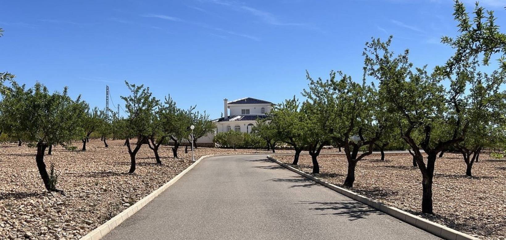 Wederverkoop - Villa - Pinoso - 