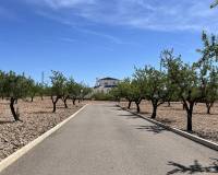 Wederverkoop - Villa - Pinoso - 