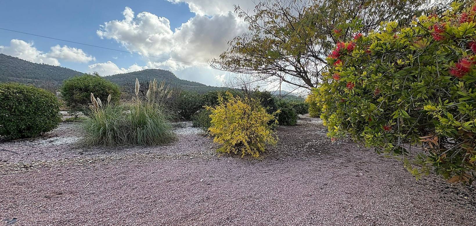 Wederverkoop - Villa - Pinoso - 