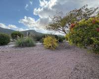 Wederverkoop - Villa - Pinoso - 