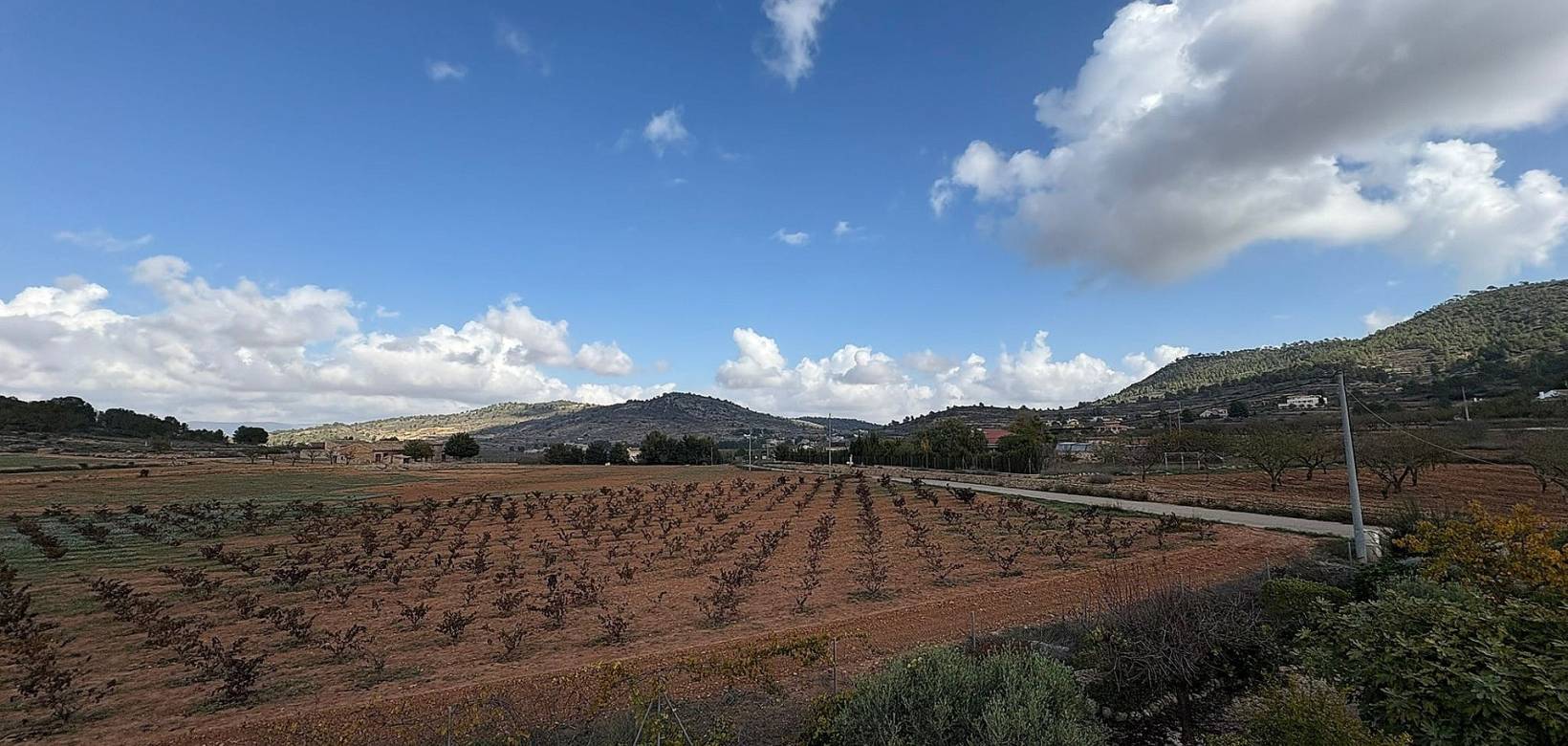 Wederverkoop - Villa - Pinoso - 