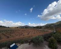 Wederverkoop - Villa - Pinoso - 