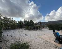 Wederverkoop - Villa - Pinoso - 