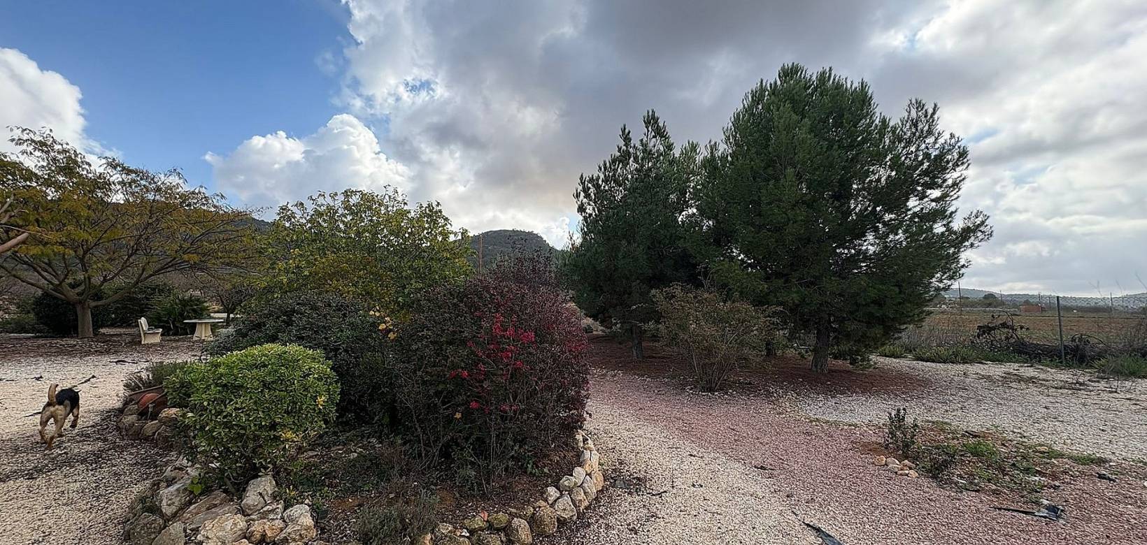 Wederverkoop - Villa - Pinoso - 