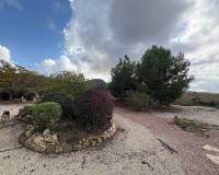 Wederverkoop - Villa - Pinoso - 