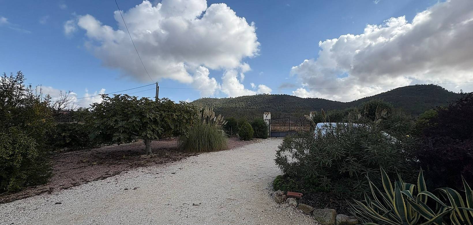 Wederverkoop - Villa - Pinoso - 