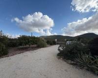 Wederverkoop - Villa - Pinoso - 