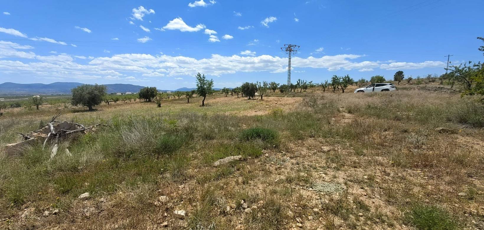 Wederverkoop - Villa - Pinoso - 