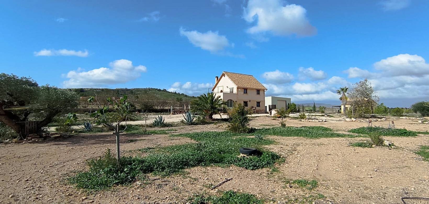 Wederverkoop - Villa - Pinoso - 