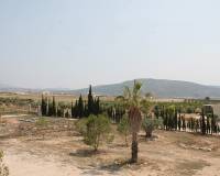 Wederverkoop - Villa - Pinoso - 