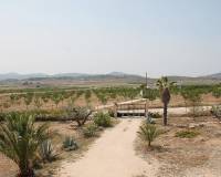 Wederverkoop - Villa - Pinoso - 