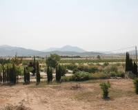Wederverkoop - Villa - Pinoso - 