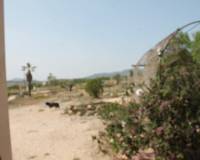 Wederverkoop - Villa - Pinoso - 