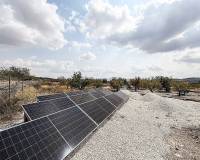 Wederverkoop - Villa - Pinoso - 