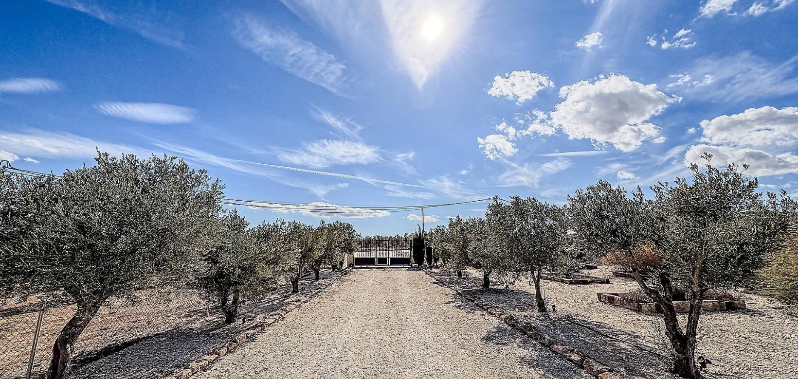 Wederverkoop - Villa - Pinoso - 