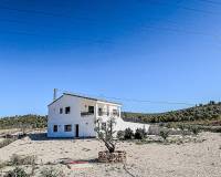 Wederverkoop - Villa - Pinoso - 