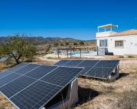 Wederverkoop - Villa - Pinoso - 