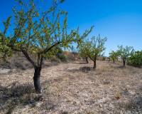 Wederverkoop - Villa - Pinoso - 