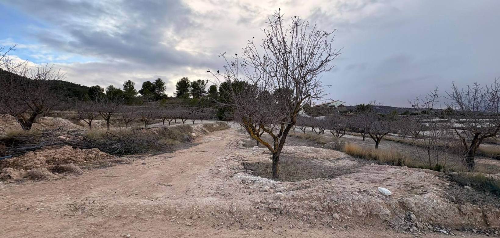 Wederverkoop - Villa - Pinoso - 