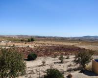 Wederverkoop - Villa - Pinoso - 