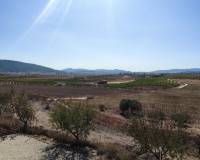 Wederverkoop - Villa - Pinoso - 