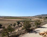 Wederverkoop - Villa - Pinoso - 