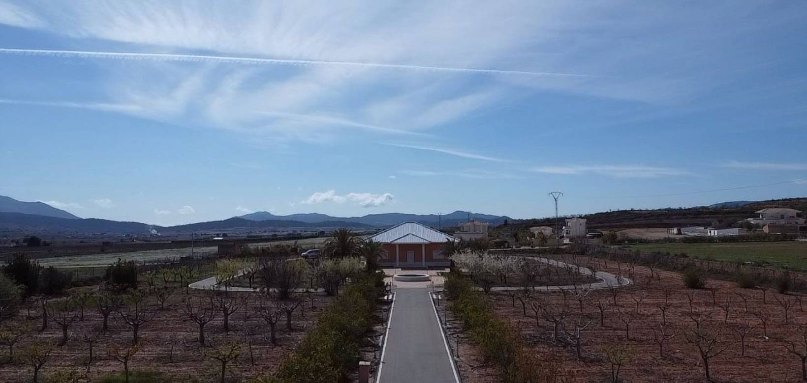 Wederverkoop - Villa - Pinoso - 