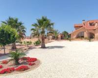 Wederverkoop - Villa - Pinoso - 