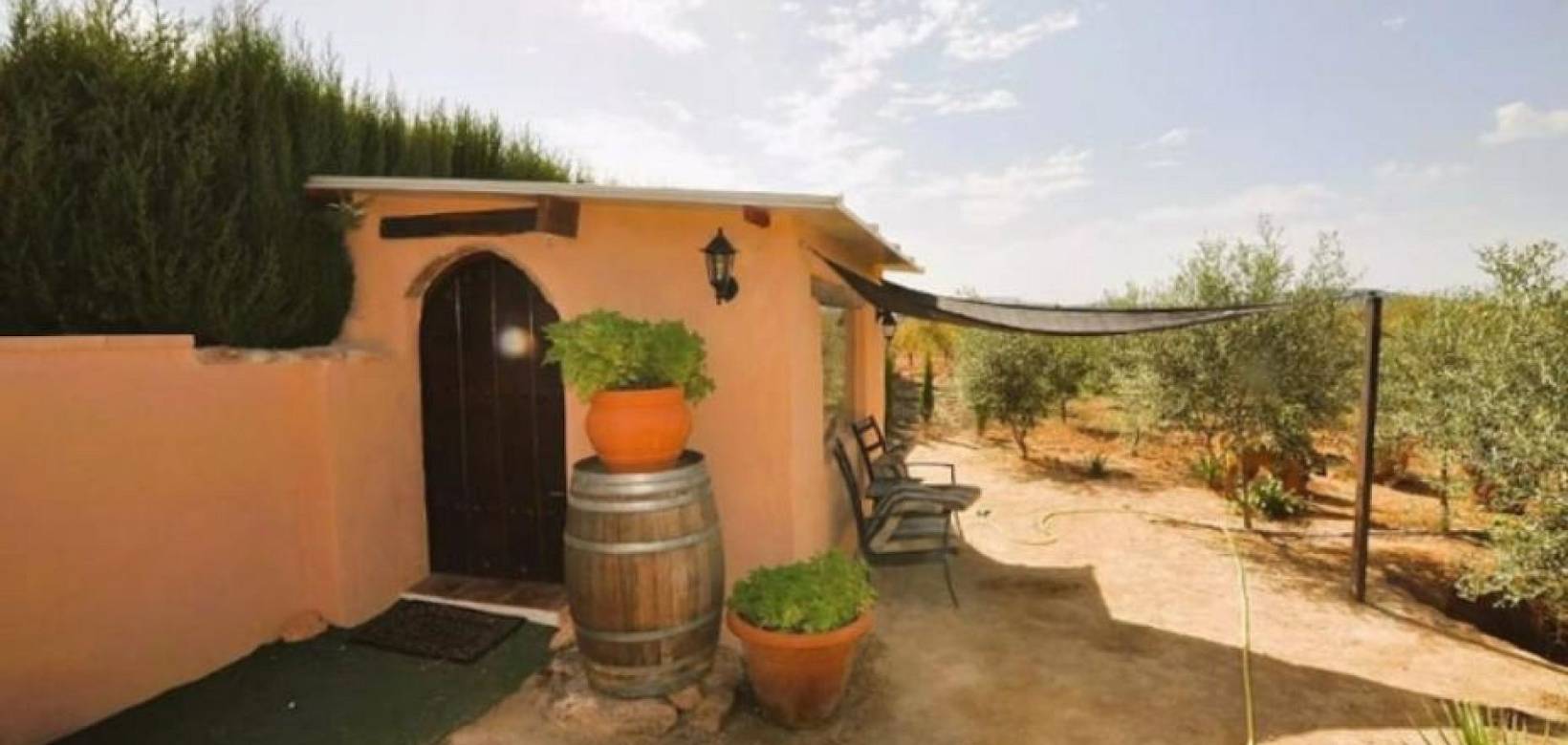 Wederverkoop - Villa - Pinoso - 