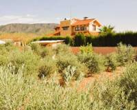 Wederverkoop - Villa - Pinoso - 