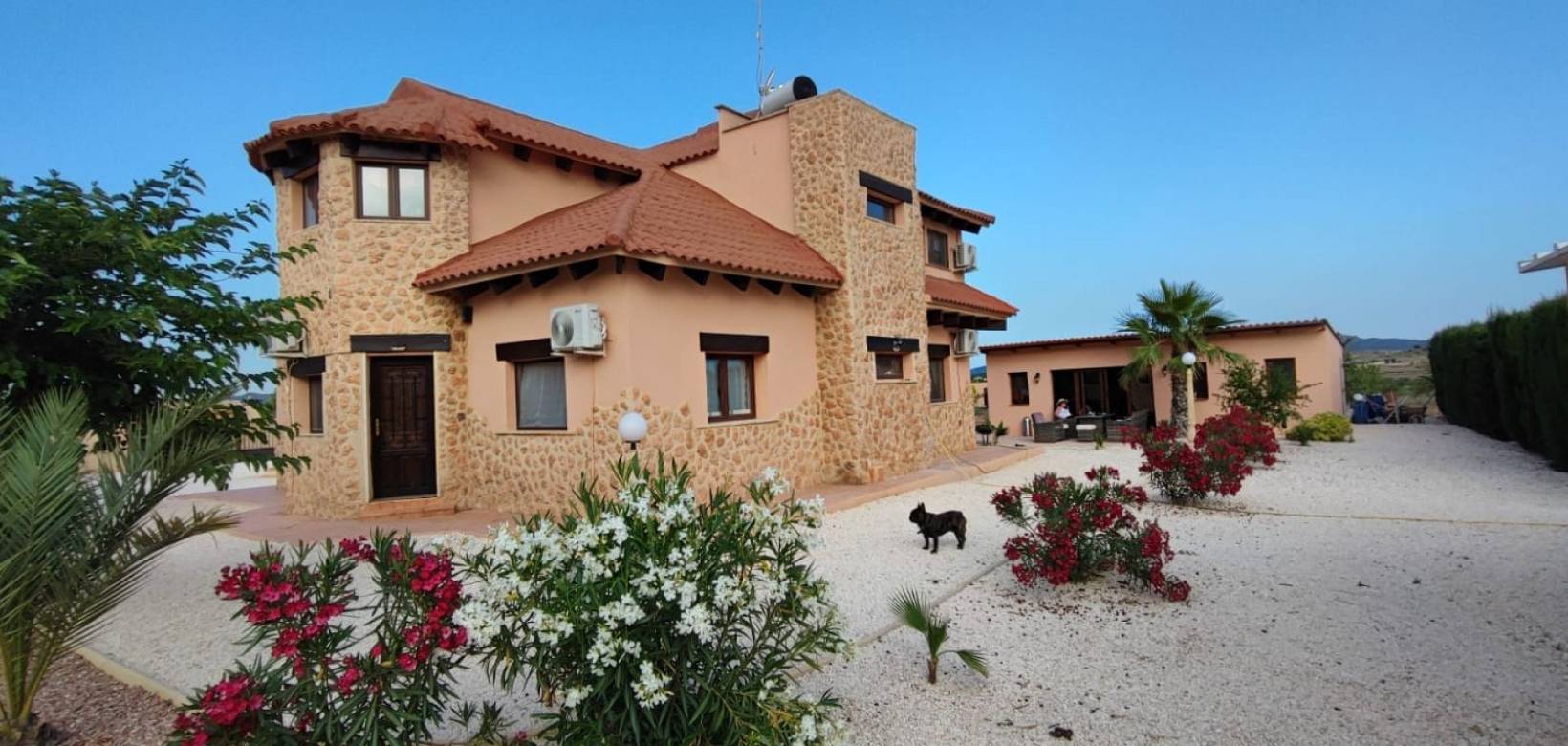 Wederverkoop - Villa - Pinoso - 