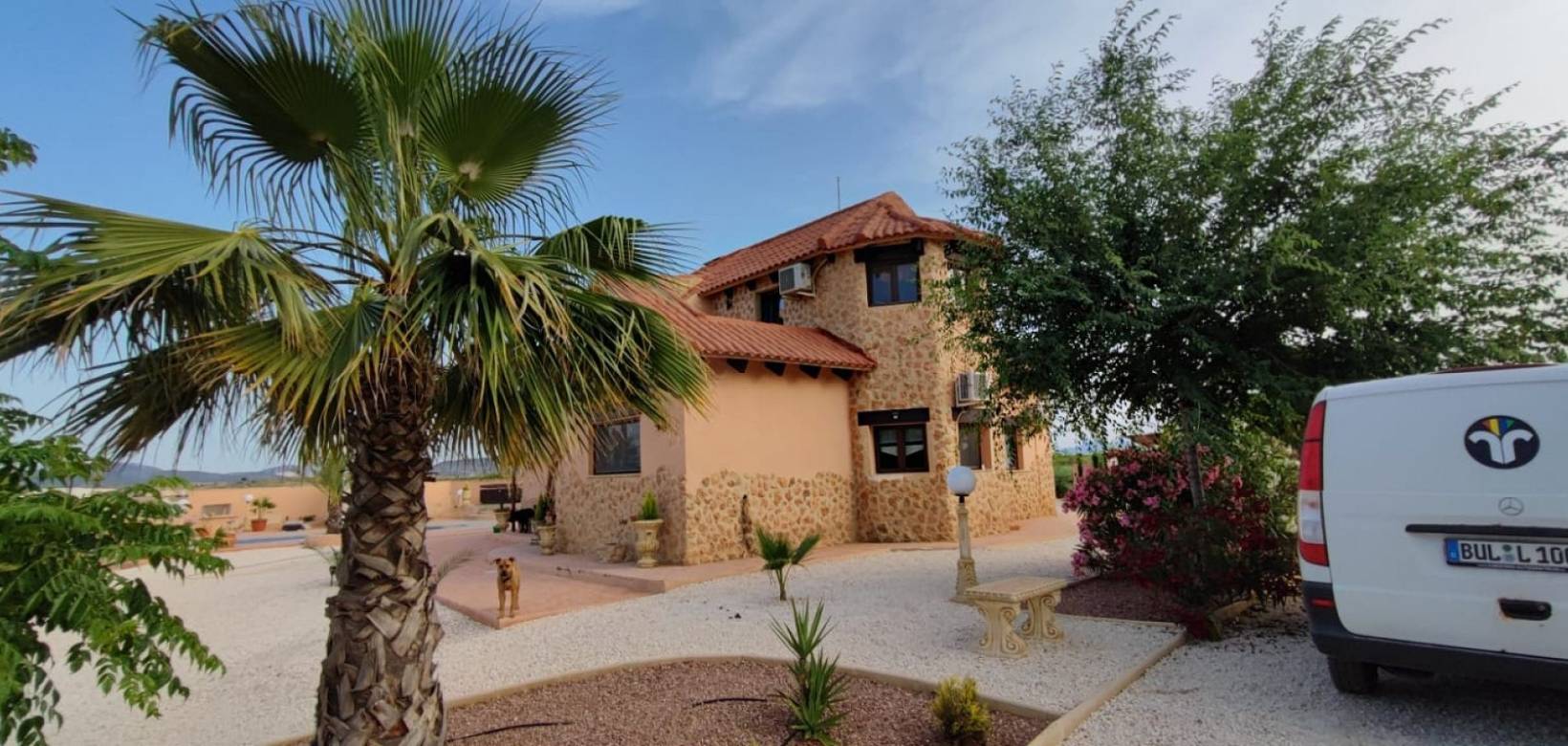 Wederverkoop - Villa - Pinoso - 