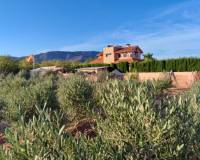 Wederverkoop - Villa - Pinoso - 