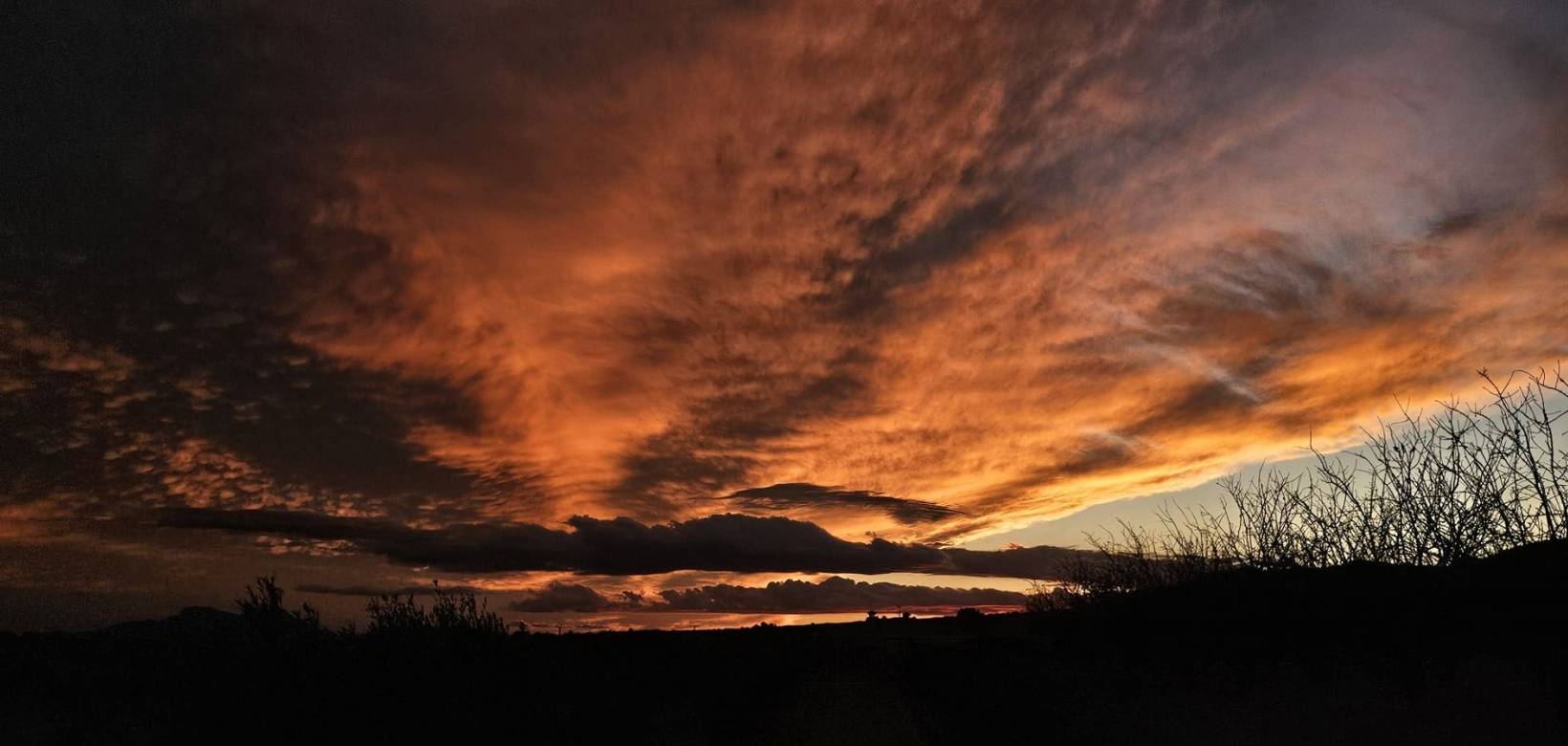 Wederverkoop - Villa - Pinoso - 