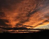 Wederverkoop - Villa - Pinoso - 