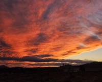 Wederverkoop - Villa - Pinoso - 